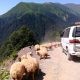 Jeep tour in Tusheti 4 days