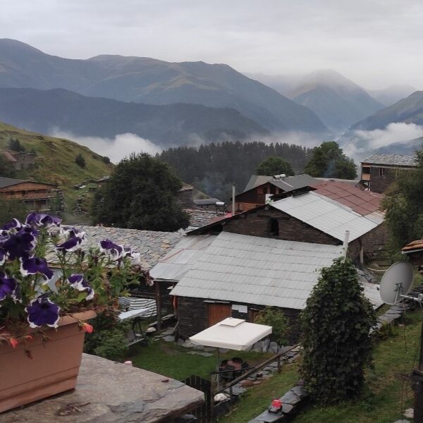 Scenic panoramic view of Upper Omalo village in Tusheti, showcasing traditional alpine stone houses and guest houses surrounded by green Caucasian mountains.