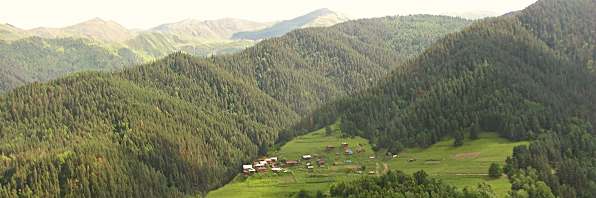 The remote village of Kumelaurta nestled in the green pine forests of Tusheti