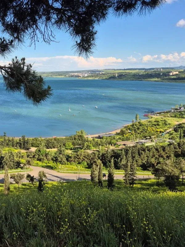 Beautiful panoramic view of Tbilisi Sea reservoir surrounded by green trees and wildflowers