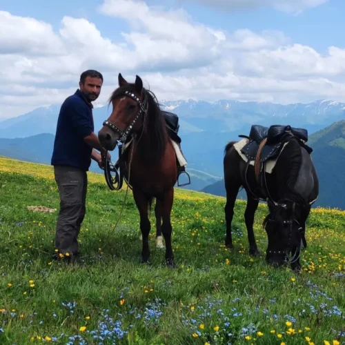 A local guide with mountain horses in a lush alpine meadow during the 3 day Tusheti horse riding tour.