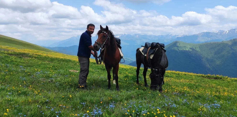 A local guide with mountain horses in a lush alpine meadow during the 3 day Tusheti horse riding tour.