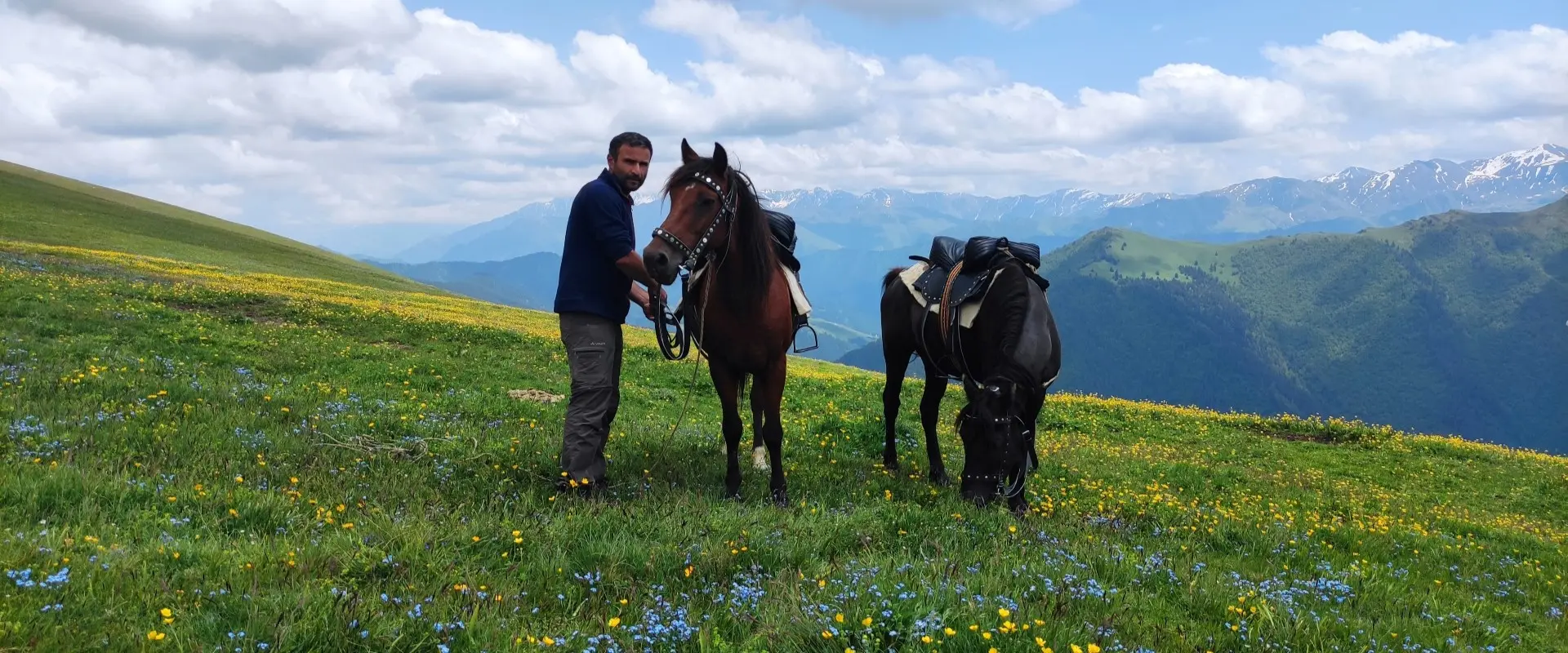 A local guide with mountain horses in a lush alpine meadow during the 3 day Tusheti horse riding tour.