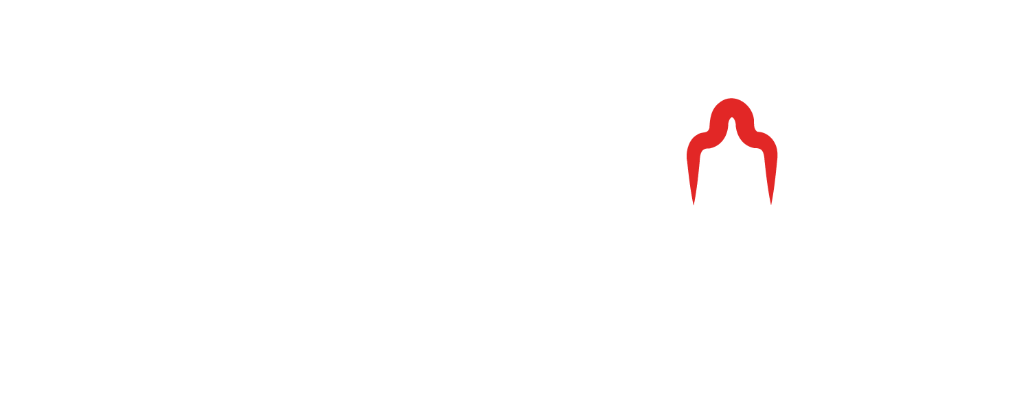 Tushetiland Logo